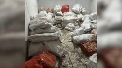 Три тонны мяса и 42 туши изъяли в подпольном цехе в Астане