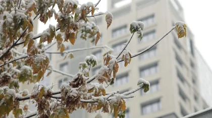 Метели, туманы и гололед: в Казахстане ожидается ухудшение погоды