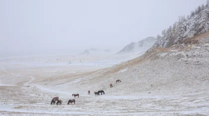Туман и метели: штормовое предупреждение объявили в Казахстане на 20 ноября