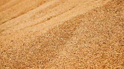 Работница элеватора погибла в зернохранилище на севере Казахстана