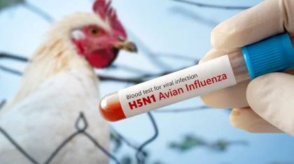 Первый человек в мире умер от птичьего гриппа H5N5