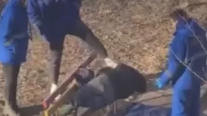 Видео с медиками, пинком скидывающие лежащего на скамейке мужчину, не казахстанское – Минздрав РК