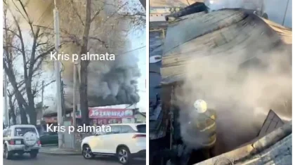 Пожар на Сейфуллина в Алматы: огонь охватил магазин и СТО в частном секторе (ВИДЕО)