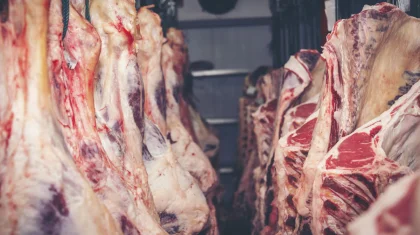 Мажилисмен просит отменить запрет на экспорт мяса из Казахстана