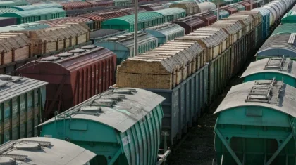 Уже больше 2,5 тысячи: количество простаивающих на станциях вагонов растет в Казахстане