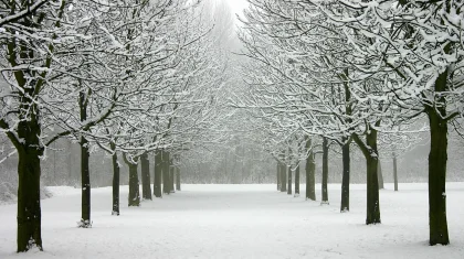 Метель и туман: штормовое предупреждение объявили на 28 ноября в Казахстане