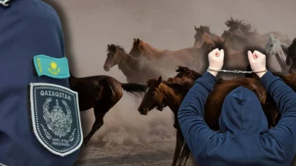 Банда скотокрадов нанесла удар по фермерам в области Улытау