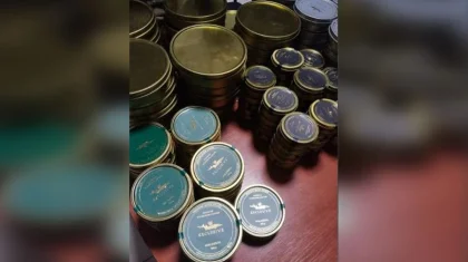 Тонну утиного мяса и 32 кг икры пытались незаконно ввезти в Казахстан из Кыргызстана