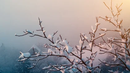 Туман накроет почти весь Казахстан 2 декабря: объявлено штормовое предупреждение