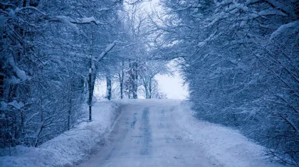 Прогноз погоды на 2 декабря в Казахстане представили синоптики