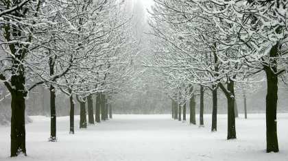 В каких регионах Казахстана объявили штормовое предупреждение