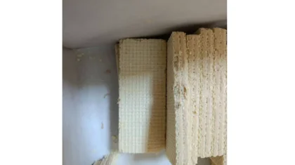 «Что-то шевелится»: детям подали вафли с червями в одной из школ Костаная