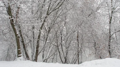 Снег, гололед и метели: прогноз погоды в Казахстане на 6 декабря