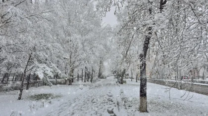 Штормовое предупреждение в Казахстане: метель, гололед и туман ожидаются 8 декабря