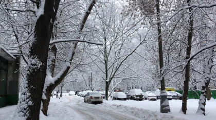 Снег, дождь и метели: прогноз погоды в Казахстане на 8 декабря