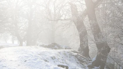 Морозы спадают: потепление придет в Казахстан в ближайшие дни