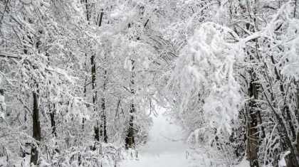 Метели и гололед: штормовое предупреждение объявили в Казахстане на 12 декабря