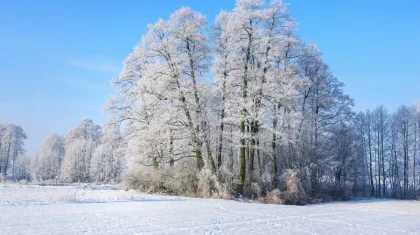 Морозы отпускают: прогноз погоды в Казахстане на 12 декабря