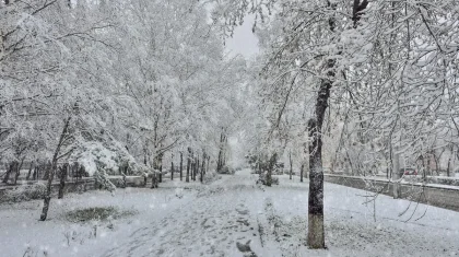 В каких регионах Казахстана объявили штормовое предупреждение