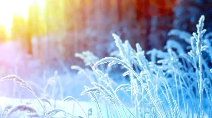 Какая погода ждет казахстанцев 11 декабря