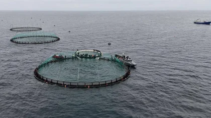 Первая в Центральной Азии морская рыбоводческая ферма работает в Мангистау