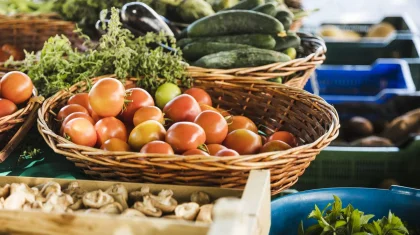 «Зеленые коридоры» запустят для импорта овощей в Казахстане