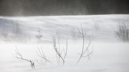 Три человека погибли в степи в буран на западе Казахстана