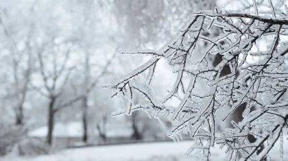 Штормовое предупреждение объявили в 14 регионах Казахстана на 18 декабря