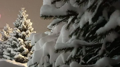 Метели и снег: прогноз погоды в Казахстане на 18 декабря