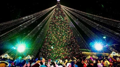 Больше 40 новогодних елок одновременно зажгутся в Астане