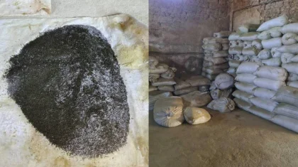 Тонны запрещенного насвая нашли в доме жителя Туркестанской области (ВИДЕО)