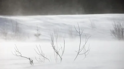Четыре человека замерзли в степи на западе Казахстана: полиция начала проверку