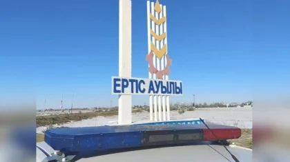 Грузовик насмерть сбил мужчину в Павлодарской области