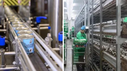 Производство сгущенки мощностью 12 тыс тонн и грибную ферму запустили в СКО