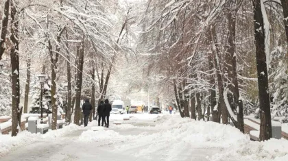 Снегопады и морозы до -28 °C: холодные воздушные массы вторгнутся в Казахстан