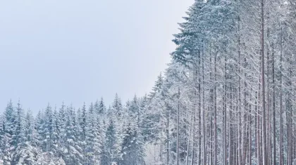 В каких регионах Казахстана объявили штормовое предупреждение