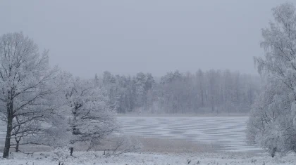Туман, метели и гололед: штормовое предупреждение по всему Казахстану на 24 декабря