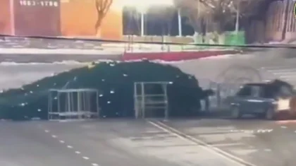 Водитель тараном свалил главную новогоднюю елку в Туркестанской области (ВИДЕО)