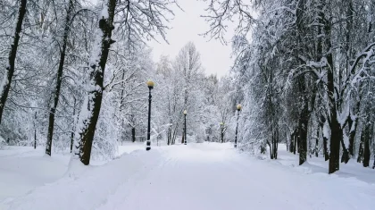 Прогноз погоды в Казахстане на 24 декабря