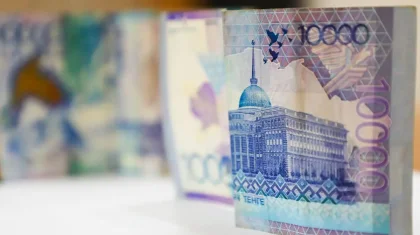 Больше 30 млрд тенге господдержки за 10 лет ушли одним и тем же компаниям – депутат