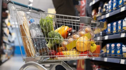 Перечень социально значимых продуктов расширили в Казахстане