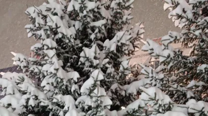 Морозы на севере: прогноз погоды в Казахстане на 26 декабря