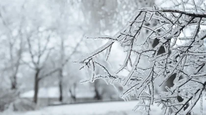 В каких регионах Казахстана объявили штормовое предупреждение
