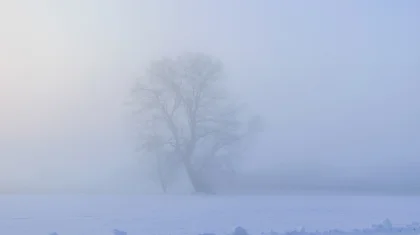Туман и гололед: штормовое предупреждение объявили в Казахстане на 28 декабря