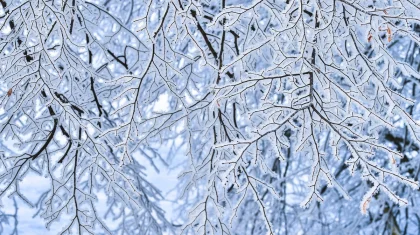 На юге +10, на севере до -17: прогноз погоды в Казахстане на 28 декабря