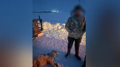 Жителя области Абай задержали с убитым им волком