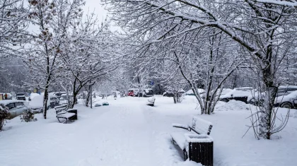 Штормовое предупреждение в Казахстане на 30 декабря: метели, туман и гололед