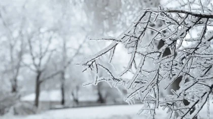 Снег с метелью и гололедом: прогноз погоды в Казахстане на 30 декабря