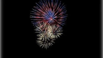 Петарды и фейерверки запретили в Нидерландах