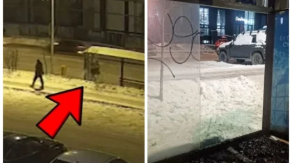 Ночной инцидент в Астане закончился арестом на 20 суток (ВИДЕО)